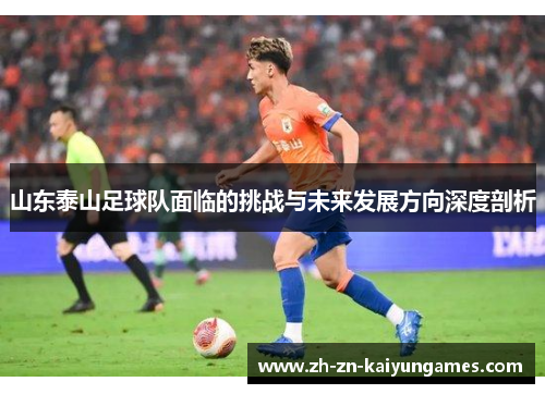 山东泰山足球队面临的挑战与未来发展方向深度剖析