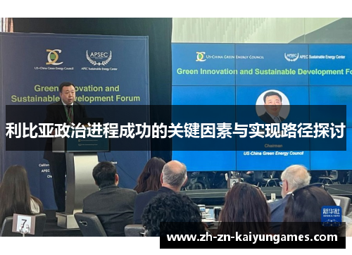 利比亚政治进程成功的关键因素与实现路径探讨