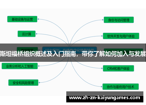 斯坦福桥组织概述及入门指南，带你了解如何加入与发展