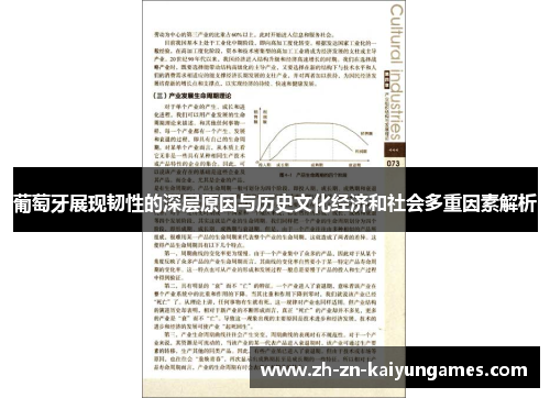 葡萄牙展现韧性的深层原因与历史文化经济和社会多重因素解析
