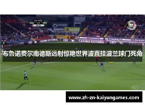 布鲁诺费尔南德斯远射惊艳世界波直挂波兰球门死角